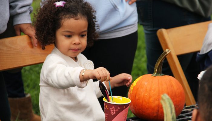 A two-year-old African-American girl paints a pumpkin.