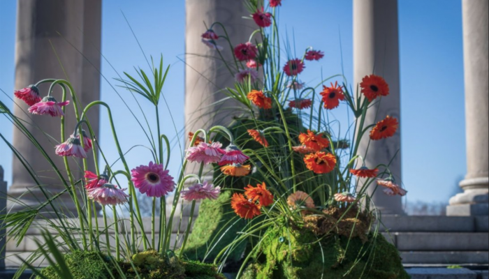 Floral display at the 2021 PHS Flower Show