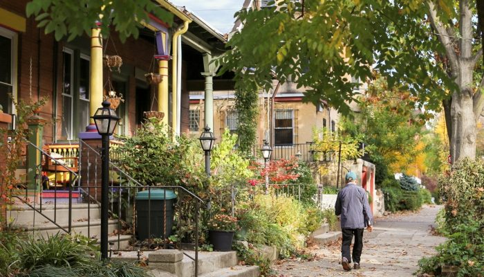 A photo of a Philadelphia neighborhood with plants and homes