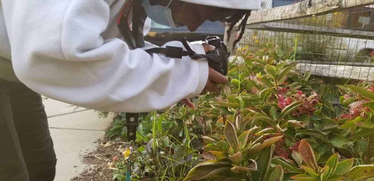 A student photographer