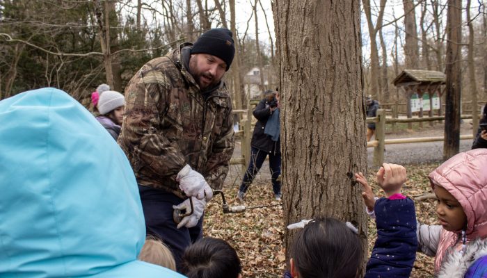 Children surrounding a tree where an outdoor educator demonstrates tapping a tree for sap.