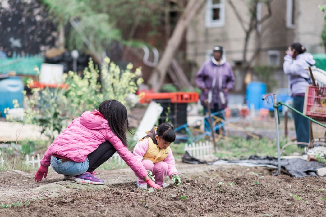 Two children working in a community garden