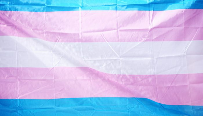 https://www.phila.gov/media/20220623121657/Transgender-Pride-Flag-700x400.jpg