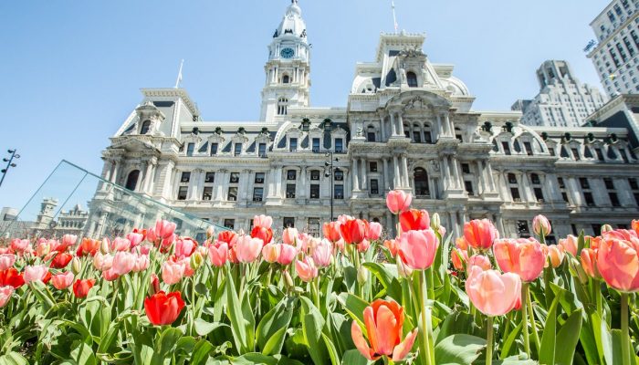A view of City Hall from the ground. Several tulips are at the forefront of the image.