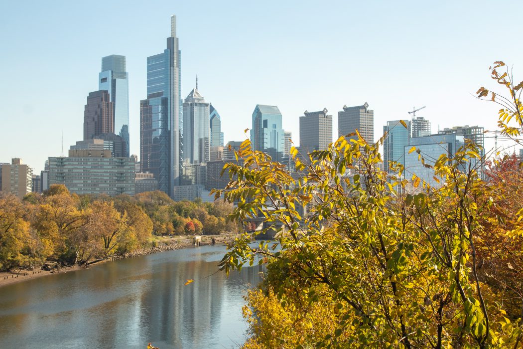 the city of philadelphia skyline with a tree with leaves changing colors for fall in the foreground