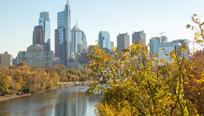 vil la nan Philadelphia Skyline ak yon pye bwa ki gen fèy chanje koulè pou tonbe nan premye plan an