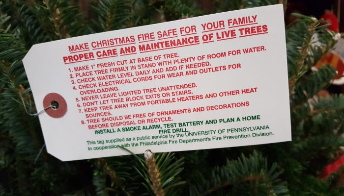 a tree tag that details the steps to take to safely care for your christmas tree. These tips are mentioned in the blog below.