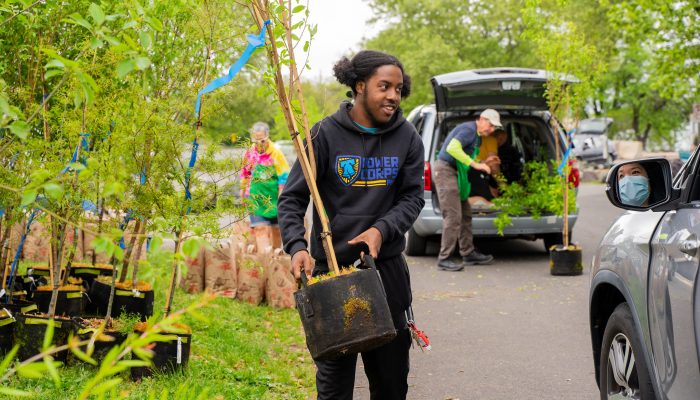 An African-American man carries a sapling to a woman's car.