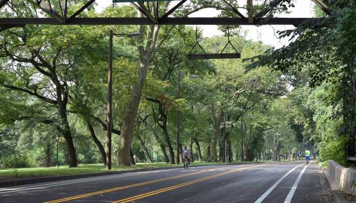 A person biking down a car-less MLK boulevard