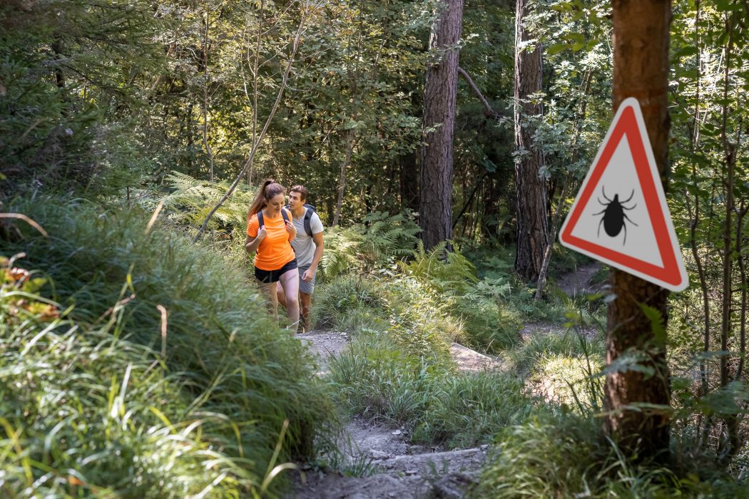 Protect yourself from ticks and Lyme disease | Board of Health