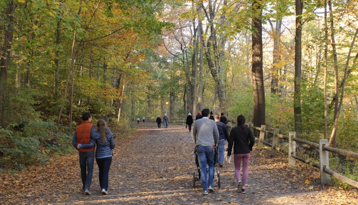 People walk on Forbidden Drive in the Wissahickon in autumn.