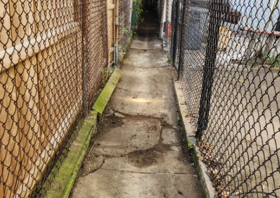 alley cleanign