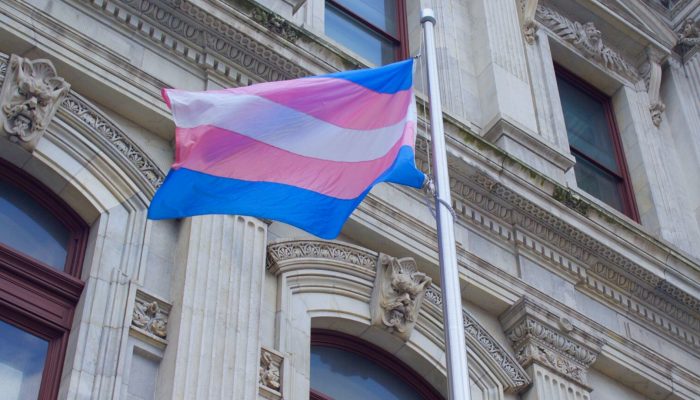Trans flag blowing in the wind