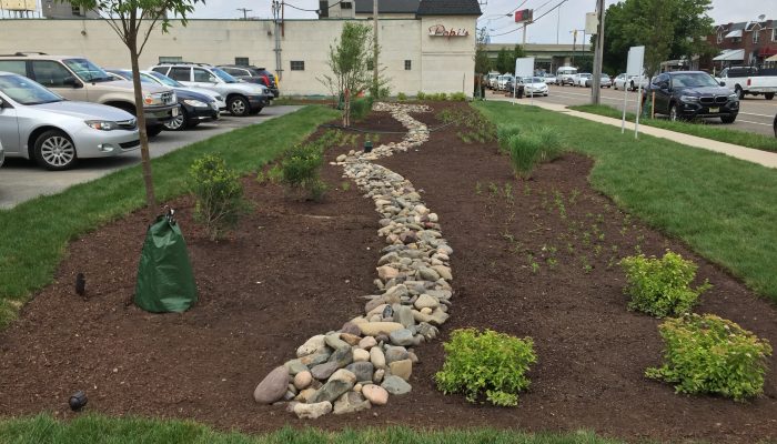 Garden improvement covered by stormwater grant