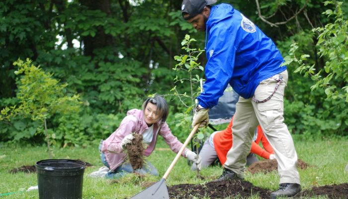 an African American man rakes mulch as a woman prepares to plant a tree in the park.