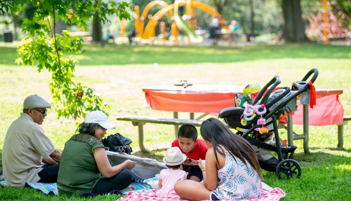 A mother and her children enjoy a picnic in the park.