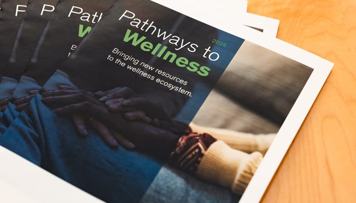 A stack of booklets on the Wellness Ecosystem program, entitled 