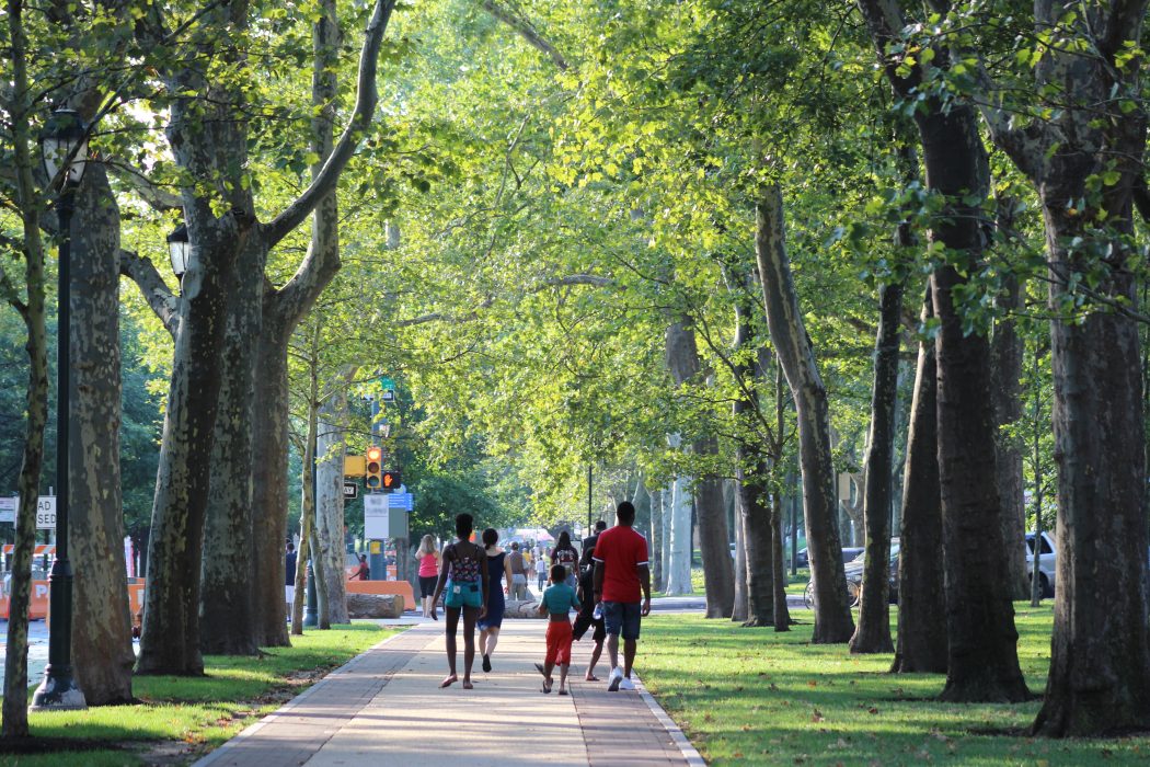 A group of people walking on a tree-lined section of the Benjamin Franklin Parkway on a sunny day