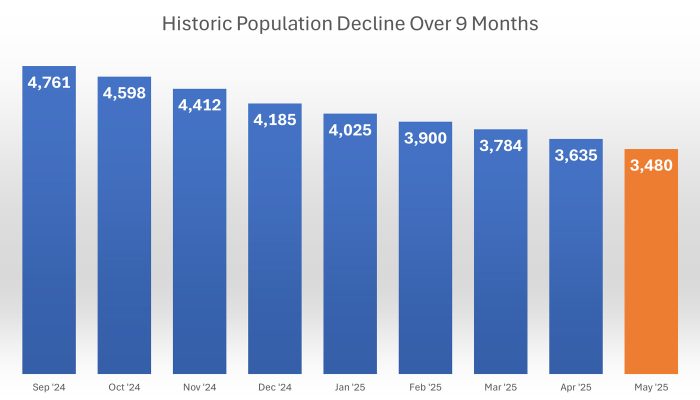 A bar graph showing the average monthly population of the City's prisons, from September 2024 through April 2025. The population shown for May is the headcount from May 15, 2025, the day this blog post was written.