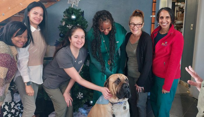 Therapy dog with staff members