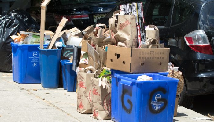 Blue recycle bins line the street on trash day