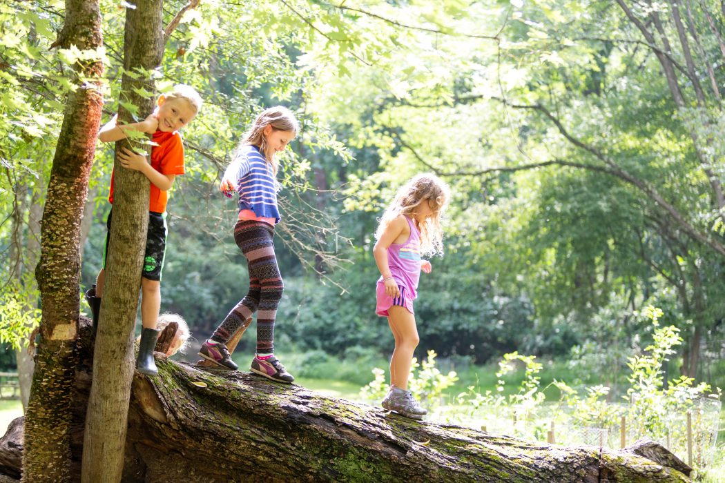 Three young children playfully cross a tree branch.