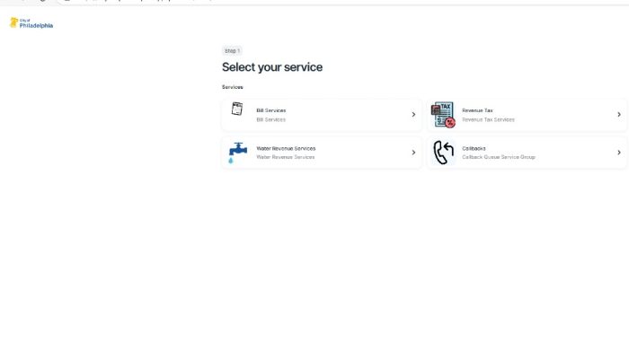 Screenshot of the new online kiosk page