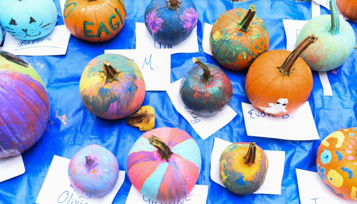 Decorative pumpkins spread out across a table.
