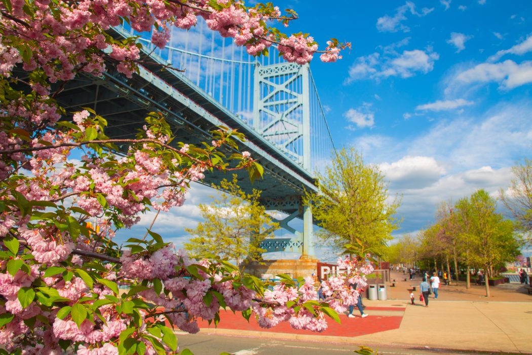 Ben Franklin Bridge in spring