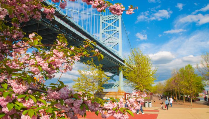 Ben Franklin Bridge in spring