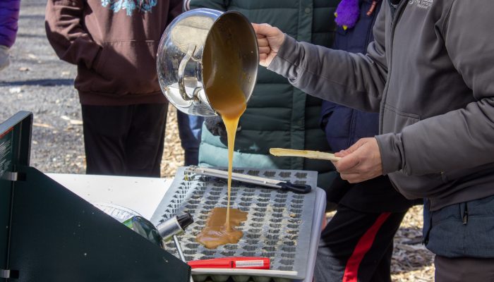 A PPR staff member pours maple sap into a mold.