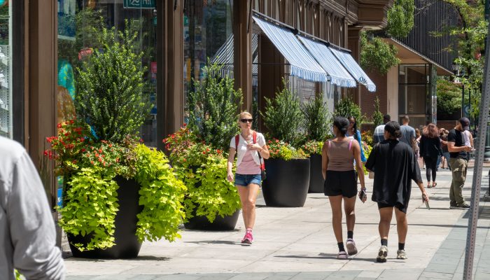 Photograph of pedestrians in front of Five Below on Market Street. It is a sunny summer's day and pedestrians wear shorts and sunglasses.