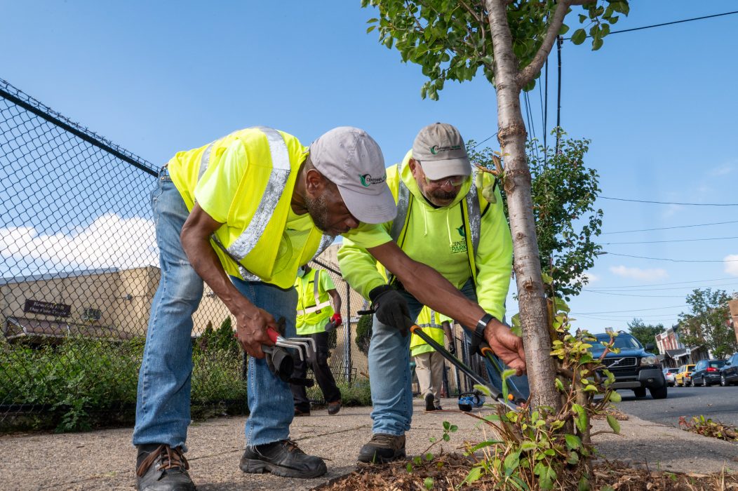 Taking Care of Business Program takes care of 460 trees along commercial corridors while growing green skills