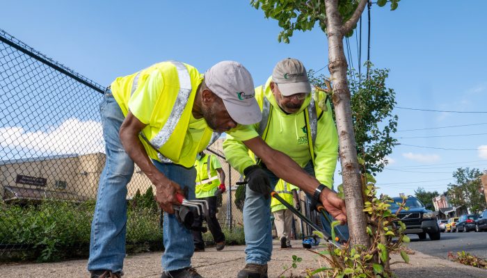 Taking Care of Business Program Cleaning Ambassadors take care of trees along a commercial corridor in Philadelphia.