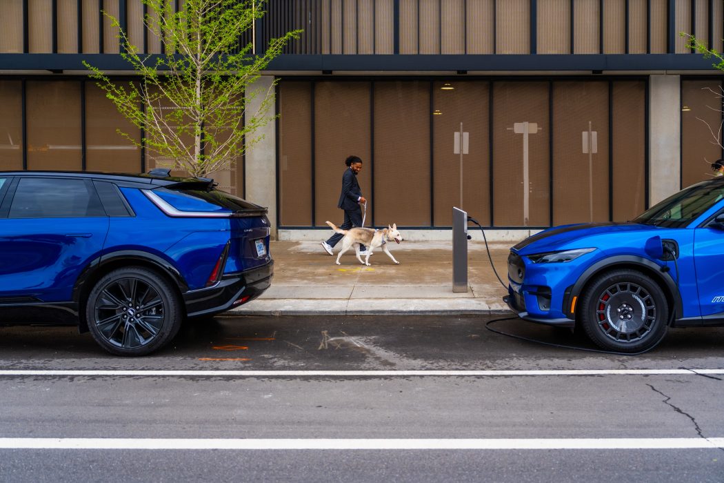 Man walking dog near Public EV Charging Stations