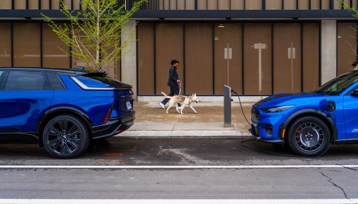 Man walking dog near Public EV Charging Stations