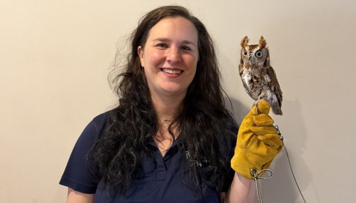 Courtney Douds, owner of Raptor Jawns, holds an owl in her hand.