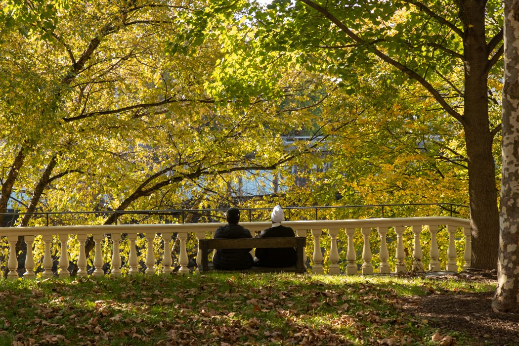 Two people sit on a wooden bench overlooking a tree-lined landscape filled with golden yellow and green fall leaves. A white stone railing stretches behind them, with fallen leaves covering the grass in the foreground.