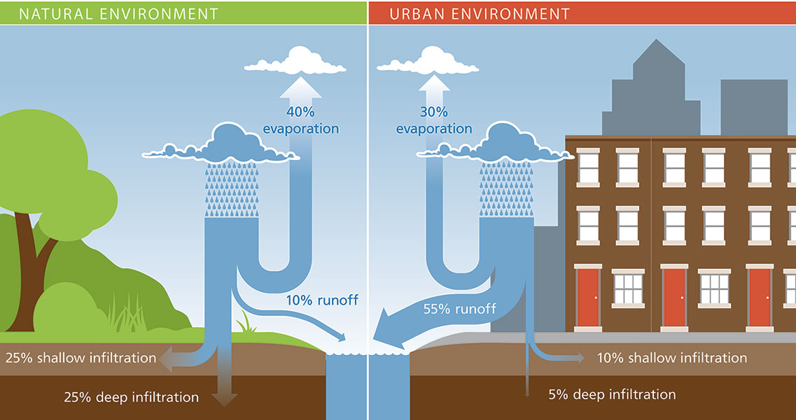 An illustration showing the infiltration of water in a natural environment compared to an urban environment. Urban environments contribute to higher amounts of runoff.